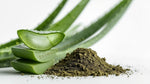 Load image into Gallery viewer, Aloe Vera Botanical Extract Powder