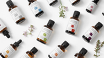 Load image into Gallery viewer, Carrot Seed Essential Oil....