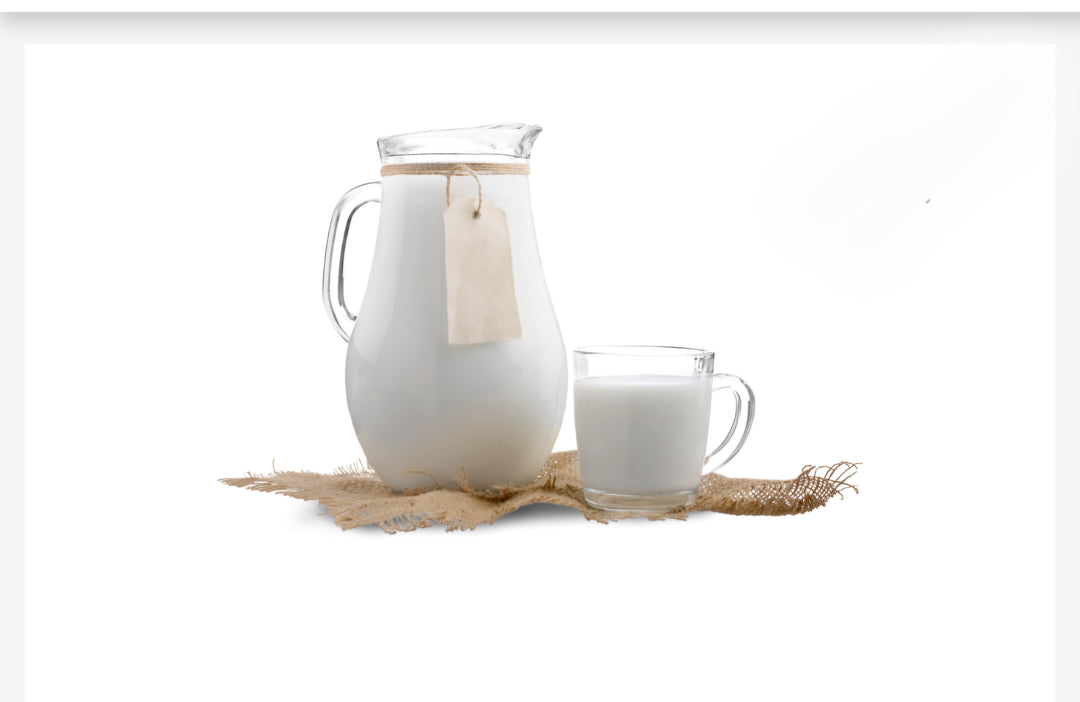 Hydrolyzed Goat Milk Protein*