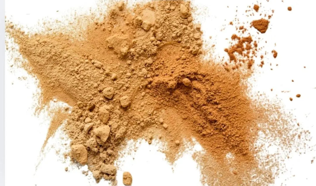 Sea Buckthorn Extract Powder*